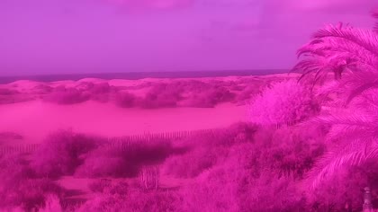 2026-10-04