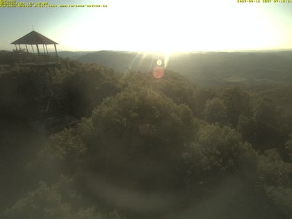 2025-08-12