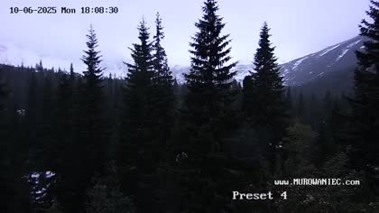 2025-10-06
