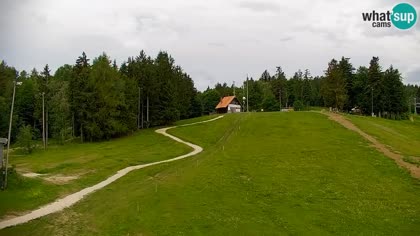 2026-06-05