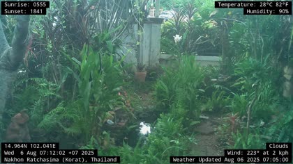 2025-08-06
