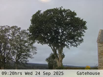 2025-09-24