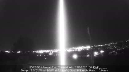 2025-08-12
