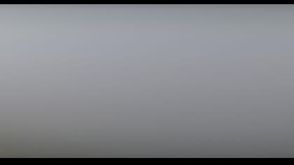 2025-08-07
