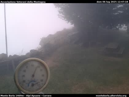 2025-07-07
