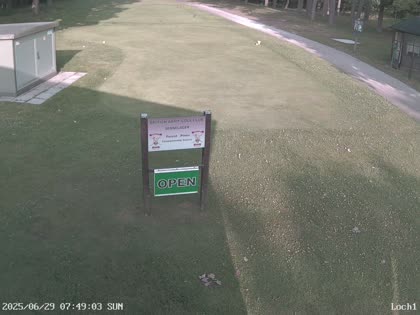 2025-06-29
