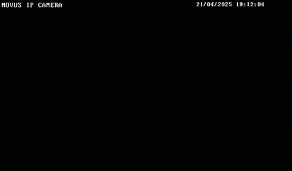 2025-04-21