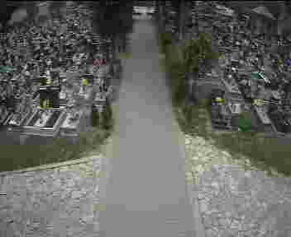 2025-06-02