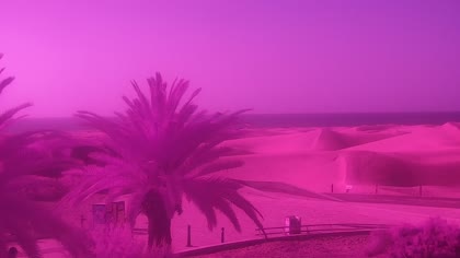 2026-06-11