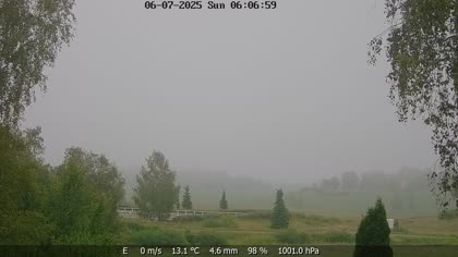 2025-07-06