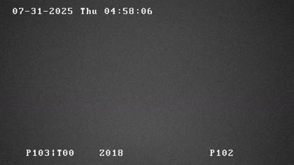 2025-07-31