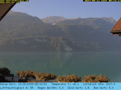 2025-08-12