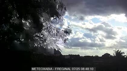 2025-07-25