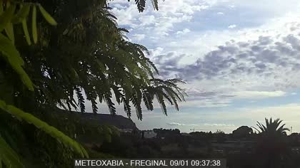 2025-09-01