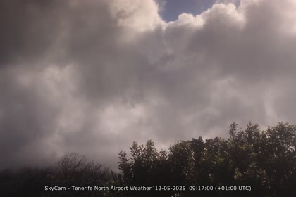 2025-05-12