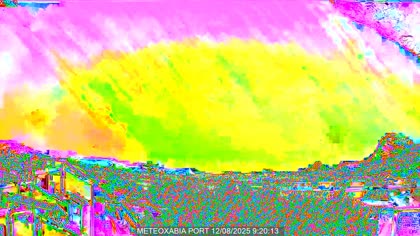 2025-08-12