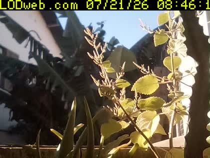 2026-07-21