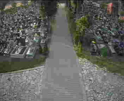 2025-06-11