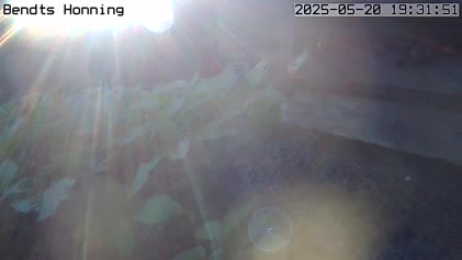 2025-05-22