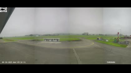 2025-10-08