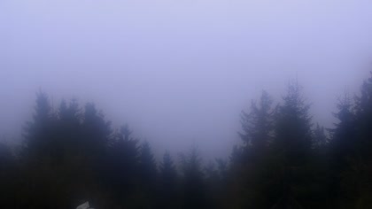 2025-10-06