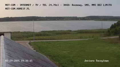 2025-07-29