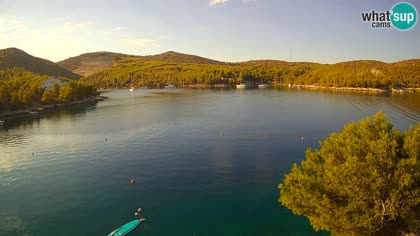 2026-09-29