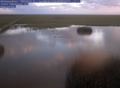 2026-05-03