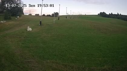2025-07-13