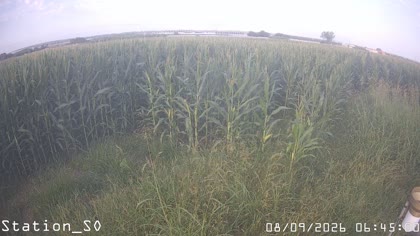 2026-09-08