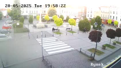 2025-05-20