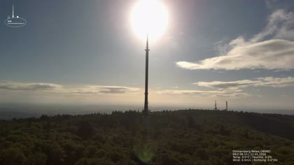 2026-05-12