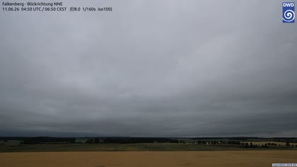 2026-06-11
