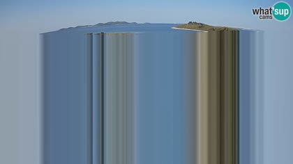 2026-07-19