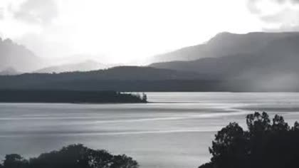 2026-08-10