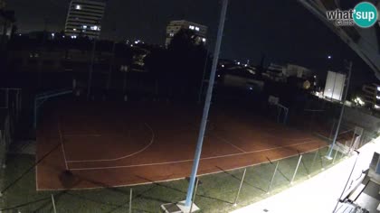 2026-10-20