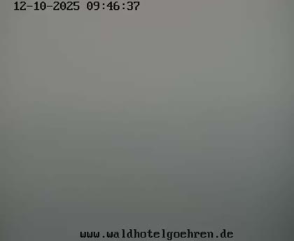 2025-10-12