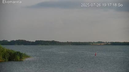 2025-07-26