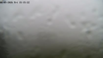 2026-06-05