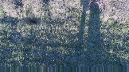 2026-05-03