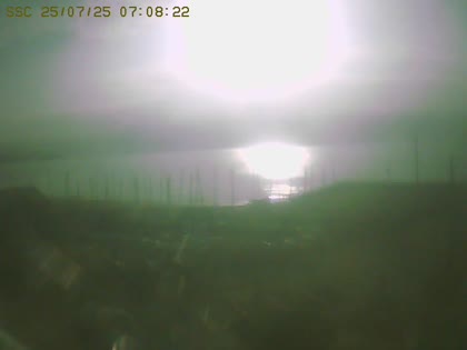 2025-07-25