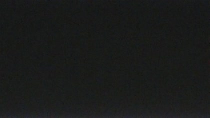 2025-08-05