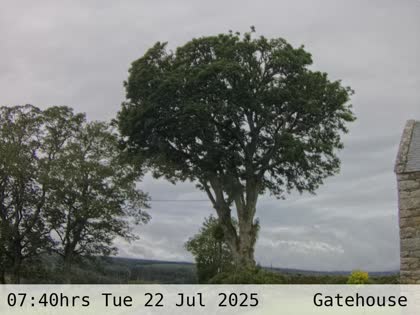 2025-07-22