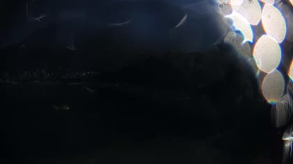 2026-06-20