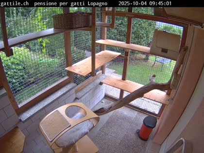 2025-10-04