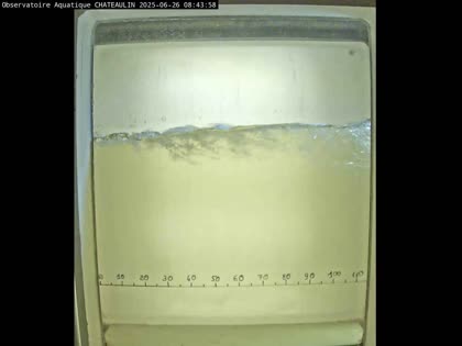 2025-06-26