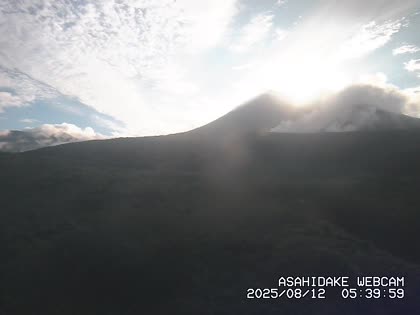2025-08-11