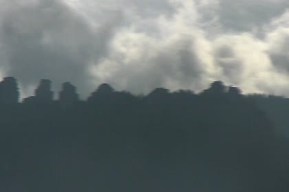 2025-05-24
