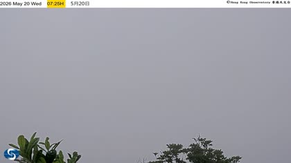 2026-05-20