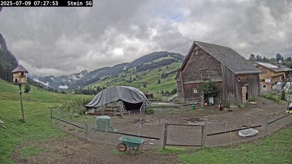 2025-07-09
